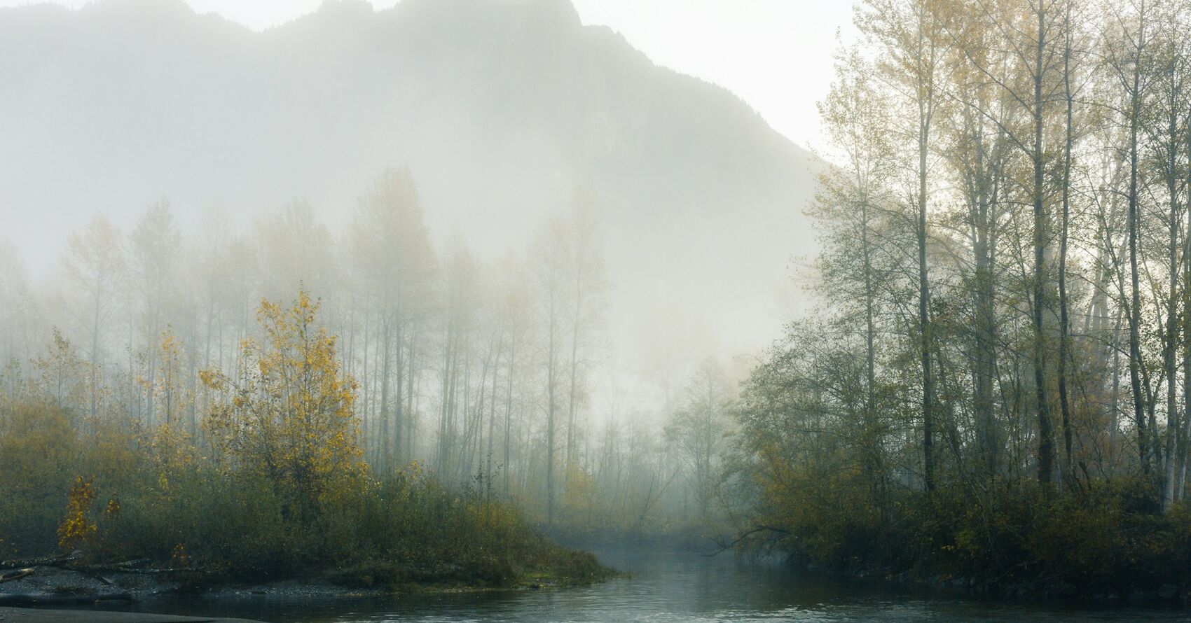 Foggy Fantasy Photo Contest